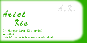 ariel kis business card